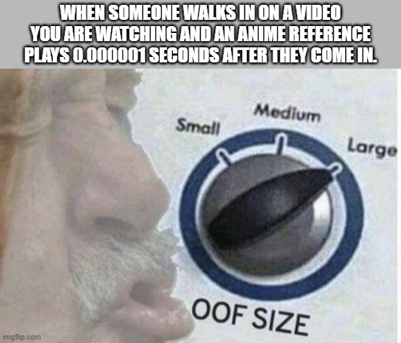 why does this happen | WHEN SOMEONE WALKS IN ON A VIDEO YOU ARE WATCHING AND AN ANIME REFERENCE PLAYS 0.000001 SECONDS AFTER THEY COME IN. | image tagged in oof size large,AnimeHate | made w/ Imgflip meme maker