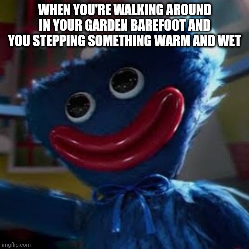 Huggy wuggy stepped in some shitty whitty | WHEN YOU'RE WALKING AROUND IN YOUR GARDEN BAREFOOT AND YOU STEPPING SOMETHING WARM AND WET | made w/ Imgflip meme maker