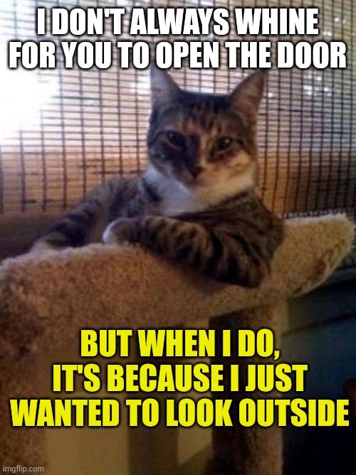 The Most Interesting Cat In The World Meme | I DON'T ALWAYS WHINE FOR YOU TO OPEN THE DOOR; BUT WHEN I DO, IT'S BECAUSE I JUST WANTED TO LOOK OUTSIDE | image tagged in memes,the most interesting cat in the world | made w/ Imgflip meme maker