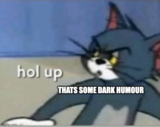 Hol up | THATS SOME DARK HUMOUR | image tagged in hol up | made w/ Imgflip meme maker