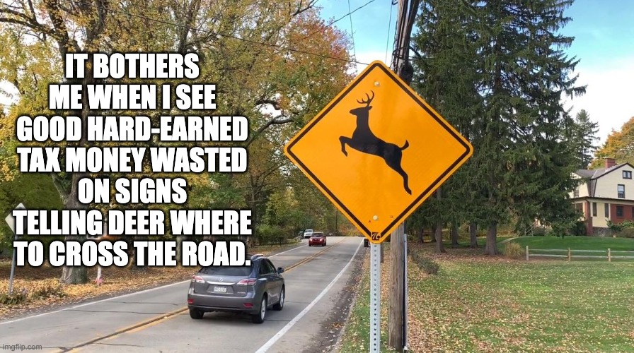 Deer | IT BOTHERS ME WHEN I SEE GOOD HARD-EARNED TAX MONEY WASTED ON SIGNS TELLING DEER WHERE TO CROSS THE ROAD. | image tagged in dad joke | made w/ Imgflip meme maker