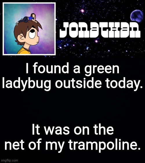 Jonathan vs The World Template | I found a green ladybug outside today. It was on the net of my trampoline. | image tagged in jonathan vs the world template | made w/ Imgflip meme maker