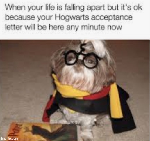 Relatable anyone? | image tagged in funny memes,harry potter | made w/ Imgflip meme maker