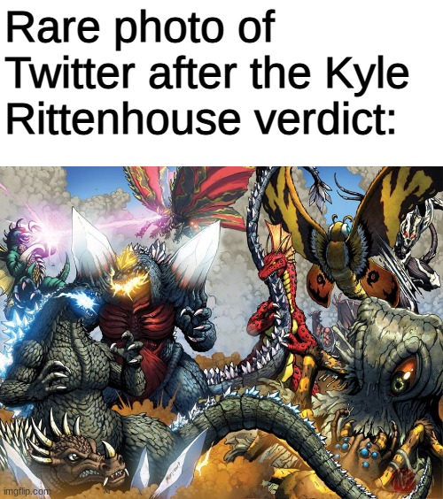 Complete chaos | Rare photo of Twitter after the Kyle Rittenhouse verdict: | image tagged in memes,fun,dank memes,twitter,funny memes,funny | made w/ Imgflip meme maker