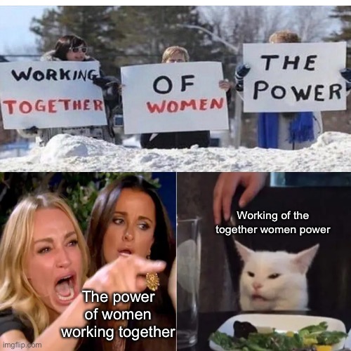 I had a stroke reading that and died | Working of the together women power; The power of women working together | image tagged in confused,woman yelling at cat,funny memes,memes,cat | made w/ Imgflip meme maker