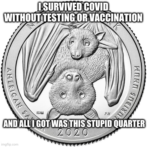 I SURVIVED COVID WITHOUT TESTING OR VACCINATION; AND ALL I GOT WAS THIS STUPID QUARTER | image tagged in covid-19,covid | made w/ Imgflip meme maker