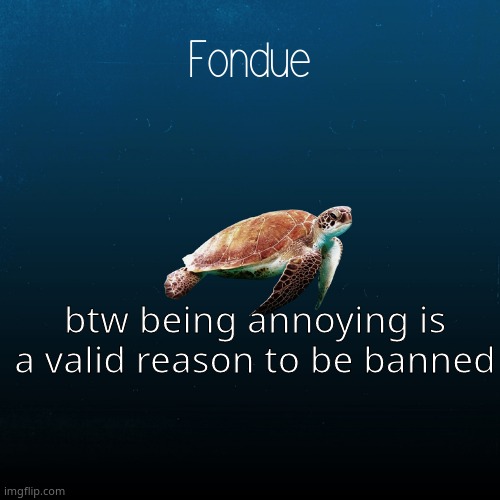 Makes no sense | btw being annoying is a valid reason to be banned | image tagged in turtle template-fondue | made w/ Imgflip meme maker