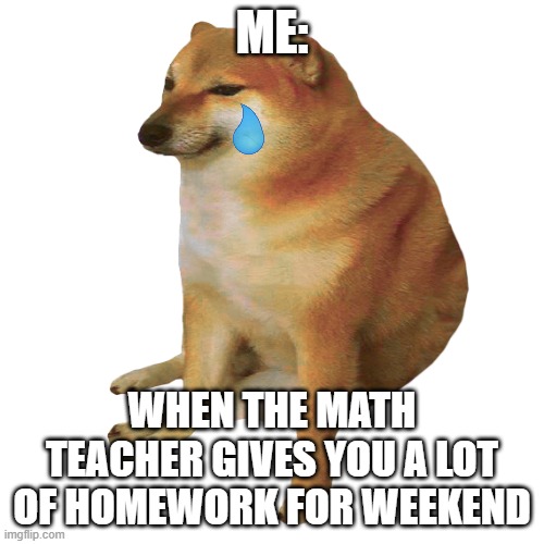 cheems | ME:; WHEN THE MATH TEACHER GIVES YOU A LOT OF HOMEWORK FOR WEEKEND | image tagged in cheems | made w/ Imgflip meme maker