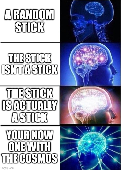 Expanding Brain Meme | A RANDOM STICK; THE STICK ISN’T A STICK; THE STICK IS ACTUALLY A STICK; YOUR NOW ONE WITH THE COSMOS | image tagged in memes,expanding brain | made w/ Imgflip meme maker