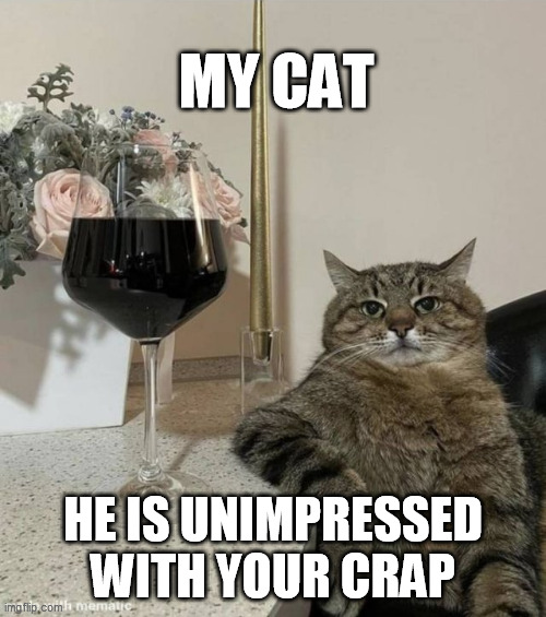 My Cat is unimpressed with your crap |  MY CAT; HE IS UNIMPRESSED WITH YOUR CRAP | image tagged in cat with wine,cat,wine,unimpressed,bored | made w/ Imgflip meme maker