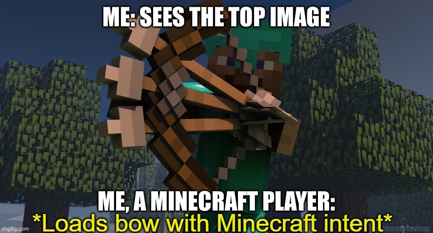 *Loads bow with Minecraft intent* | ME: SEES THE TOP IMAGE ME, A MINECRAFT PLAYER: | image tagged in loads bow with minecraft intent | made w/ Imgflip meme maker