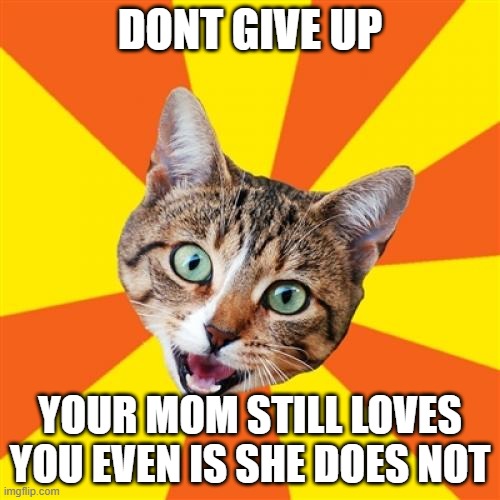 oh wait you dont have one | DONT GIVE UP; YOUR MOM STILL LOVES YOU EVEN IS SHE DOES NOT | image tagged in memes,bad advice cat,joke,lol,haha,cats | made w/ Imgflip meme maker