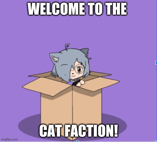 welcome | WELCOME TO THE; CAT FACTION! | image tagged in cat in box,yes | made w/ Imgflip meme maker