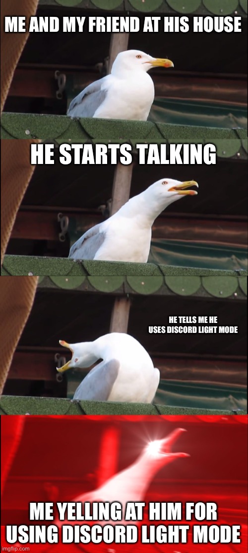 Inhaling Seagull | ME AND MY FRIEND AT HIS HOUSE; HE STARTS TALKING; HE TELLS ME HE USES DISCORD LIGHT MODE; ME YELLING AT HIM FOR USING DISCORD LIGHT MODE | image tagged in memes,inhaling seagull | made w/ Imgflip meme maker