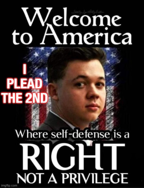 I plead the 2nd | I PLEAD THE 2ND | image tagged in god gold guns | made w/ Imgflip meme maker