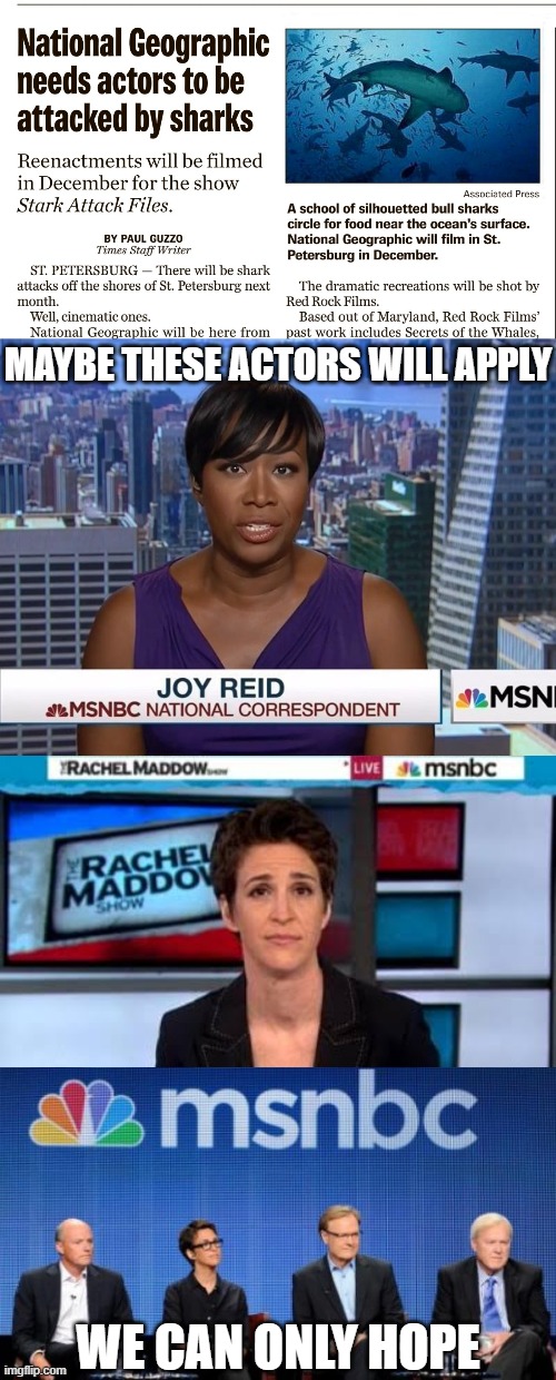 please make my wish come true | MAYBE THESE ACTORS WILL APPLY; WE CAN ONLY HOPE | image tagged in msnbc joy reid,msnbc news,msnbc | made w/ Imgflip meme maker