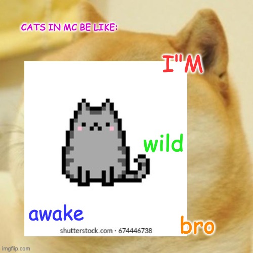 BRO | CATS IN MC BE LIKE:; I"M; wild; awake; bro | image tagged in grumpy cat,pixel | made w/ Imgflip meme maker