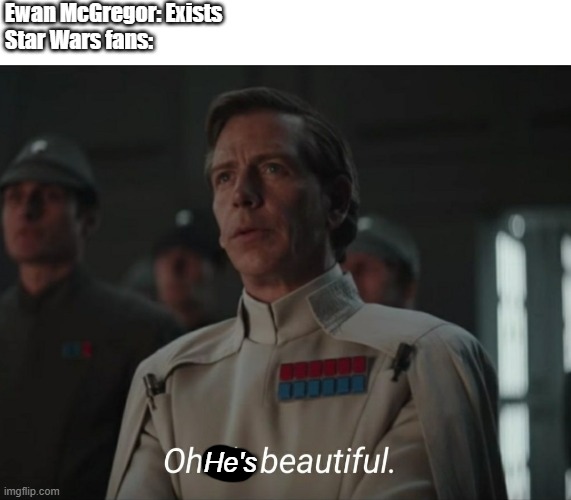 Oh it's beautiful | Ewan McGregor: Exists
Star Wars fans:; He's | image tagged in oh it's beautiful | made w/ Imgflip meme maker