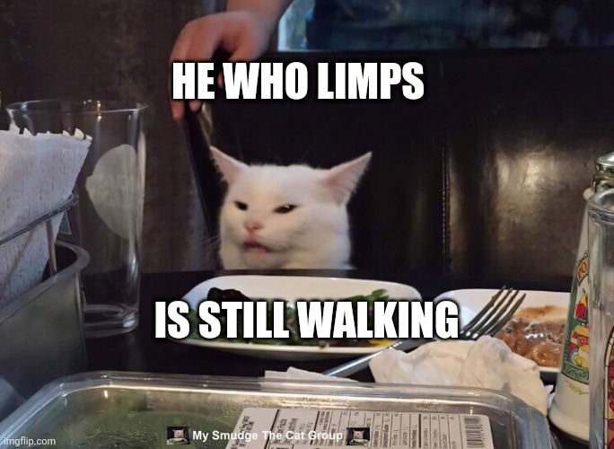 HE WHO LIMPS; IS STILL WALKING | image tagged in smudge the cat | made w/ Imgflip meme maker