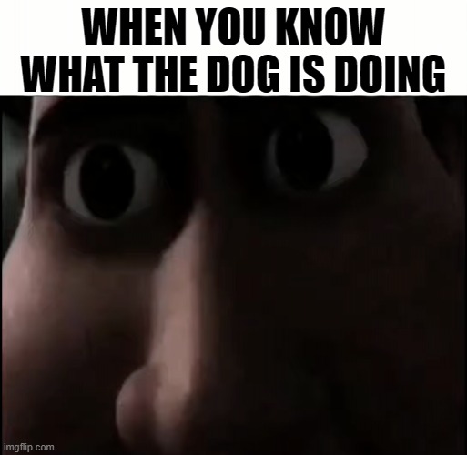 Titan Staring | WHEN YOU KNOW WHAT THE DOG IS DOING | image tagged in titan staring | made w/ Imgflip meme maker