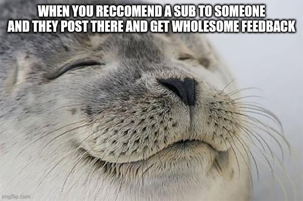 Satisfied Seal Meme | WHEN YOU RECCOMEND A SUB TO SOMEONE AND THEY POST THERE AND GET WHOLESOME FEEDBACK | image tagged in memes,satisfied seal | made w/ Imgflip meme maker