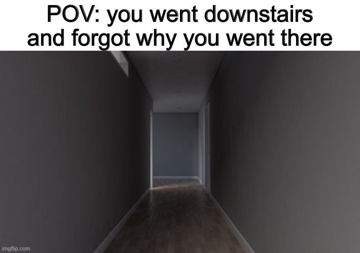 Hallway | POV: you went downstairs and forgot why you went there | image tagged in hallway | made w/ Imgflip meme maker