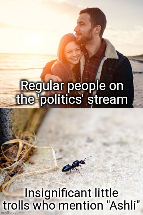 Only because this is a slow day for memes | Regular people on the 'politics' stream; Insignificant little trolls who mention "Ashli" | image tagged in memes,ashli,trolls,politics | made w/ Imgflip meme maker