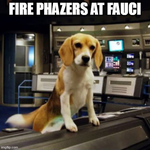 Fauci | FIRE PHAZERS AT FAUCI | image tagged in captain archer's beagle porthos,fauci,beages,enterprise,covid | made w/ Imgflip meme maker