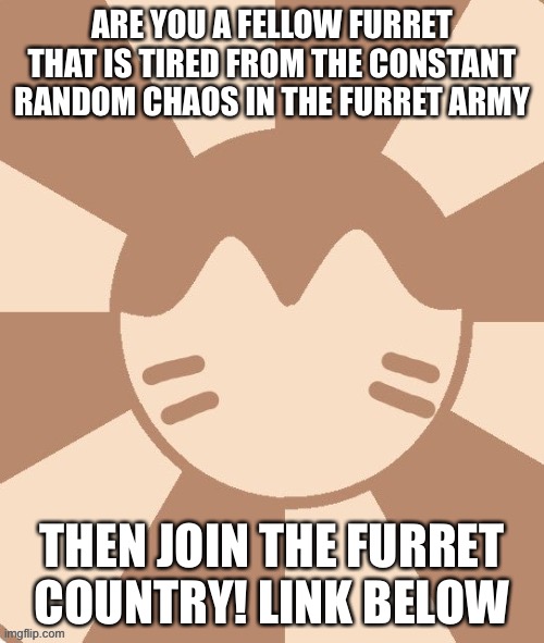 . | ARE YOU A FELLOW FURRET THAT IS TIRED FROM THE CONSTANT RANDOM CHAOS IN THE FURRET ARMY; THEN JOIN THE FURRET COUNTRY! LINK BELOW | made w/ Imgflip meme maker