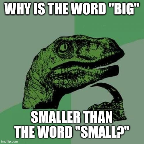 Philosoraptor Meme | WHY IS THE WORD "BIG" SMALLER THAN THE WORD "SMALL?" | image tagged in memes,philosoraptor | made w/ Imgflip meme maker