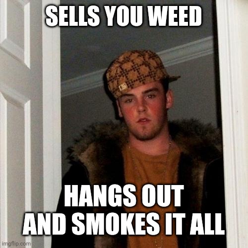 Scumbag Steve | SELLS YOU WEED; HANGS OUT AND SMOKES IT ALL | image tagged in memes,scumbag steve | made w/ Imgflip meme maker