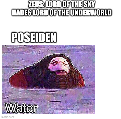 worter |  ZEUS: LORD OF THE SKY
HADES LORD OF THE UNDERWORLD; POSEIDEN | image tagged in blank white template,memes,funny,greek mythology,ps1 hagrid | made w/ Imgflip meme maker