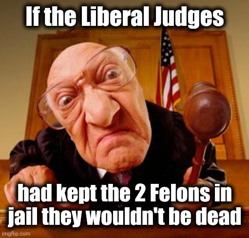 Mean Judge | If the Liberal Judges had kept the 2 Felons in
jail they wouldn't be dead | image tagged in mean judge | made w/ Imgflip meme maker