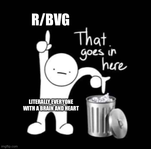 that goes in here | R/BVG LITERALLY EVERYONE WITH A BRAIN AND HEART | image tagged in that goes in here | made w/ Imgflip meme maker