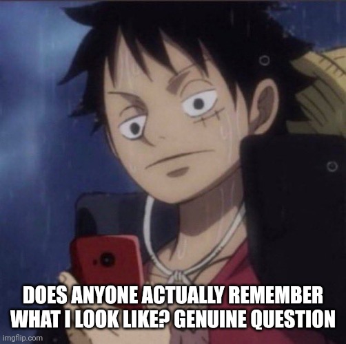 luffy phone | DOES ANYONE ACTUALLY REMEMBER WHAT I LOOK LIKE? GENUINE QUESTION | image tagged in luffy phone | made w/ Imgflip meme maker