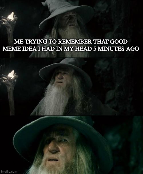 Confused Gandalf Meme | ME TRYING TO REMEMBER THAT GOOD MEME IDEA I HAD IN MY HEAD 5 MINUTES AGO | image tagged in memes,confused gandalf,shower thoughts,funny,gifs,not really a gif | made w/ Imgflip meme maker
