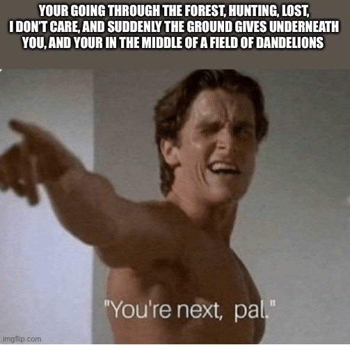 You're Next, Pal | YOUR GOING THROUGH THE FOREST, HUNTING, LOST, I DON’T CARE, AND SUDDENLY THE GROUND GIVES UNDERNEATH YOU, AND YOUR IN THE MIDDLE OF A FIELD OF DANDELIONS | image tagged in american psycho is the best movie | made w/ Imgflip meme maker