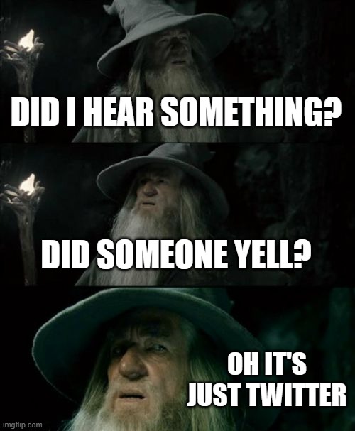Gandalf Hears The Void Of Twitter | DID I HEAR SOMETHING? DID SOMEONE YELL? OH IT'S JUST TWITTER | image tagged in memes,confused gandalf,twitter,true story | made w/ Imgflip meme maker