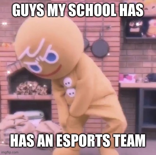 I have a few friends on it | GUYS MY SCHOOL HAS; HAS AN ESPORTS TEAM | image tagged in gingerbrave dance | made w/ Imgflip meme maker