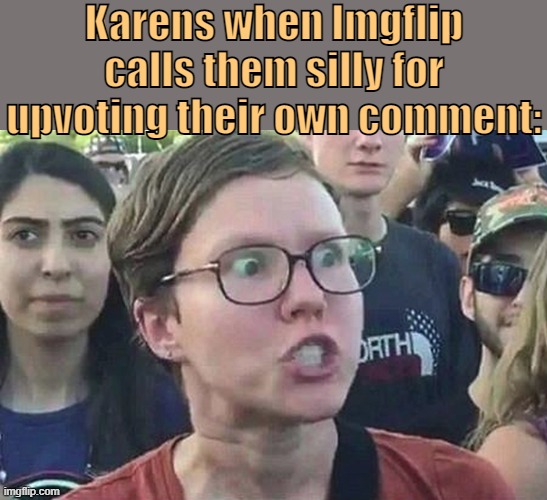 . | Karens when Imgflip calls them silly for upvoting their own comment: | image tagged in triggered liberal | made w/ Imgflip meme maker