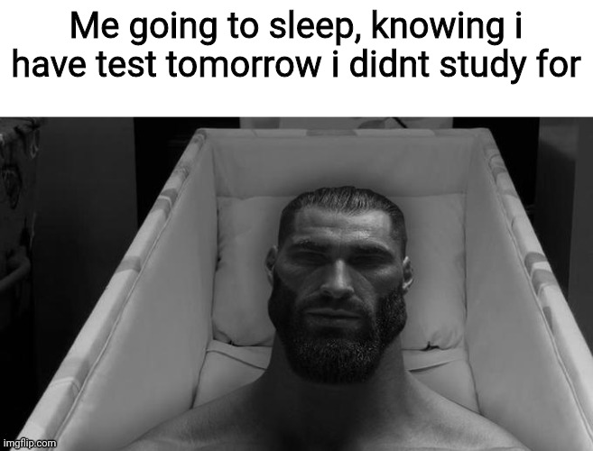 thinking chad | Me going to sleep, knowing i have test tomorrow i didnt study for | image tagged in thinking chad | made w/ Imgflip meme maker