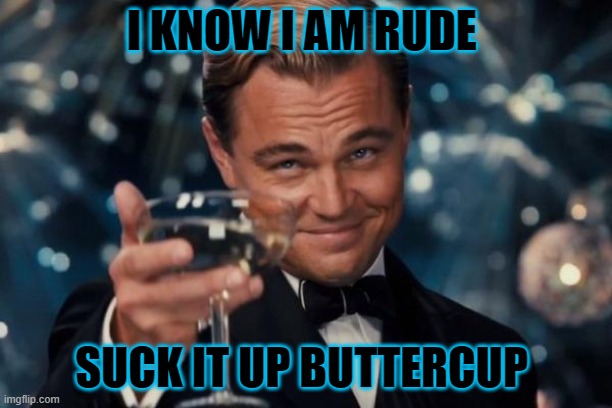 Leonardo Dicaprio Cheers | I KNOW I AM RUDE; SUCK IT UP BUTTERCUP | image tagged in memes,leonardo dicaprio cheers | made w/ Imgflip meme maker