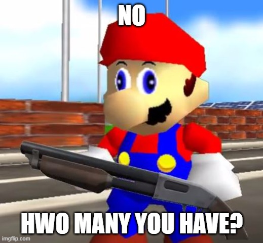 SMG4 Shotgun Mario | NO HWO MANY YOU HAVE? | image tagged in smg4 shotgun mario | made w/ Imgflip meme maker