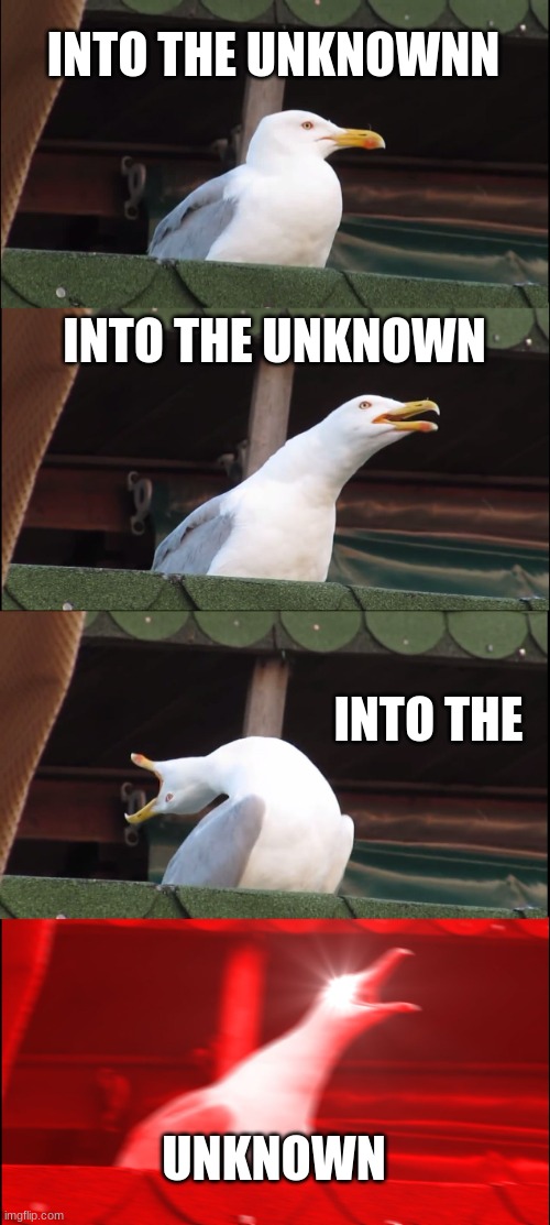 101% of people can hear this. | INTO THE UNKNOWNN; INTO THE UNKNOWN; INTO THE; UNKNOWN | image tagged in memes,inhaling seagull | made w/ Imgflip meme maker