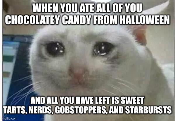 At least i really like gobstoppers | WHEN YOU ATE ALL OF YOU CHOCOLATEY CANDY FROM HALLOWEEN; AND ALL YOU HAVE LEFT IS SWEET TARTS, NERDS, GOBSTOPPERS, AND STARBURSTS | image tagged in crying cat,halloween,candy,leftovers | made w/ Imgflip meme maker
