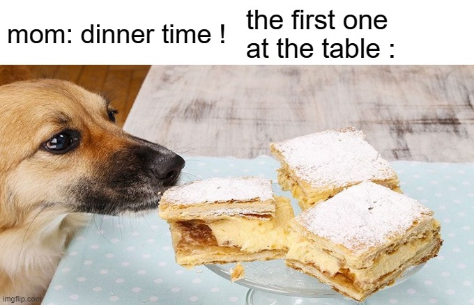 lol :) | mom: dinner time ! the first one at the table : | image tagged in dog,steal,food | made w/ Imgflip meme maker