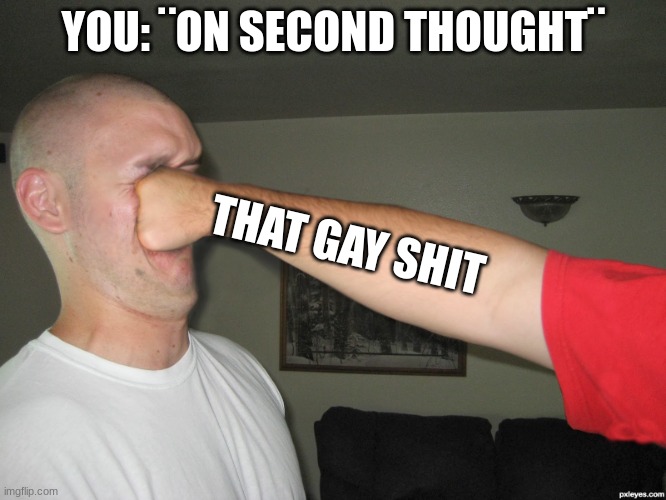 Face punch | YOU: ¨ON SECOND THOUGHT¨ THAT GAY SHIT | image tagged in face punch | made w/ Imgflip meme maker