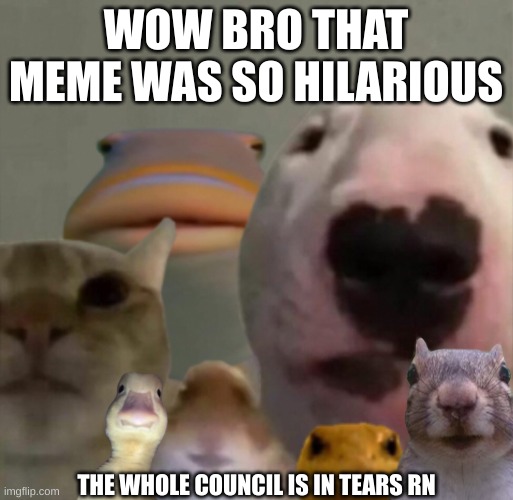 The council remastered | WOW BRO THAT MEME WAS SO HILARIOUS THE WHOLE COUNCIL IS IN TEARS RN | image tagged in the council remastered | made w/ Imgflip meme maker