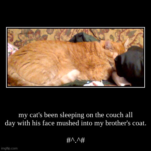 it wouldn't let me post this in "cats" | image tagged in funny,demotivationals,cute,cats,mine,cat | made w/ Imgflip demotivational maker