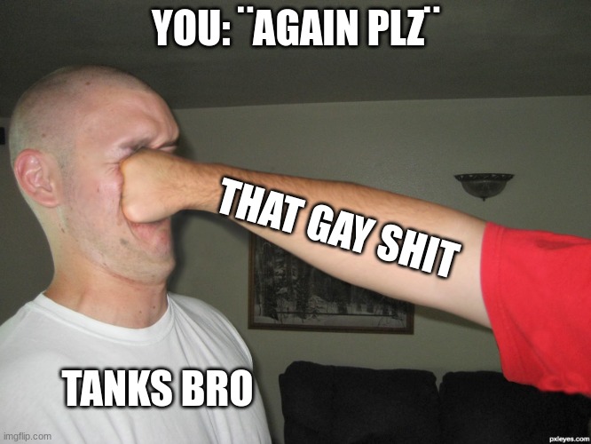 Face punch | YOU: ¨AGAIN PLZ¨ THAT GAY SHIT TANKS BRO | image tagged in face punch | made w/ Imgflip meme maker